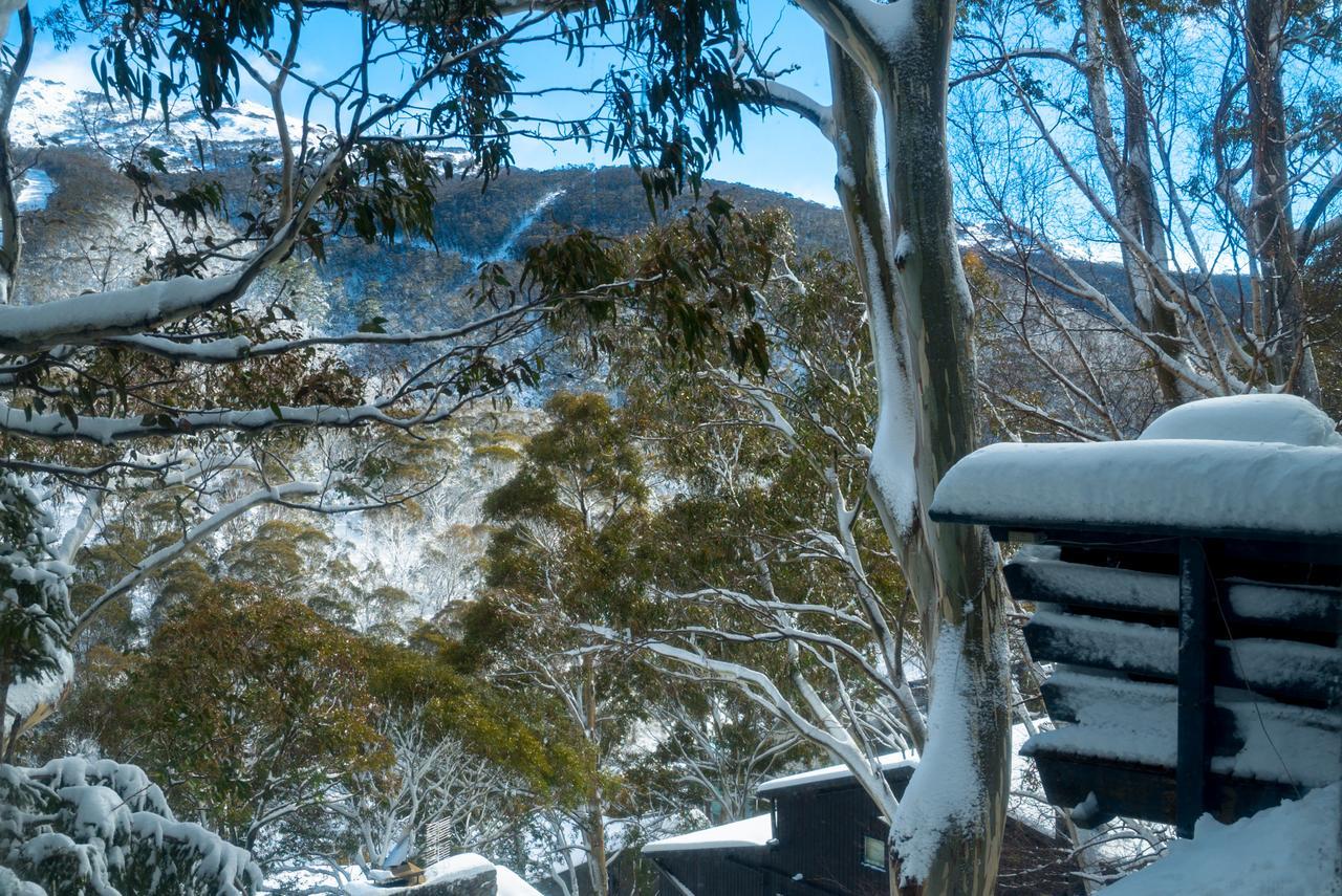 Hotel Pure Chalet Thredbo Exteriér fotografie