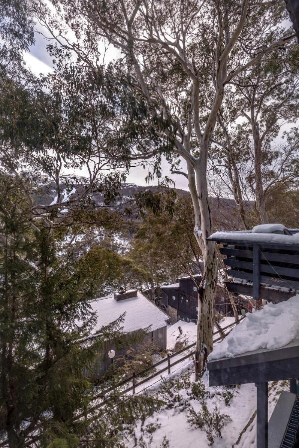 Hotel Pure Chalet Thredbo Exteriér fotografie