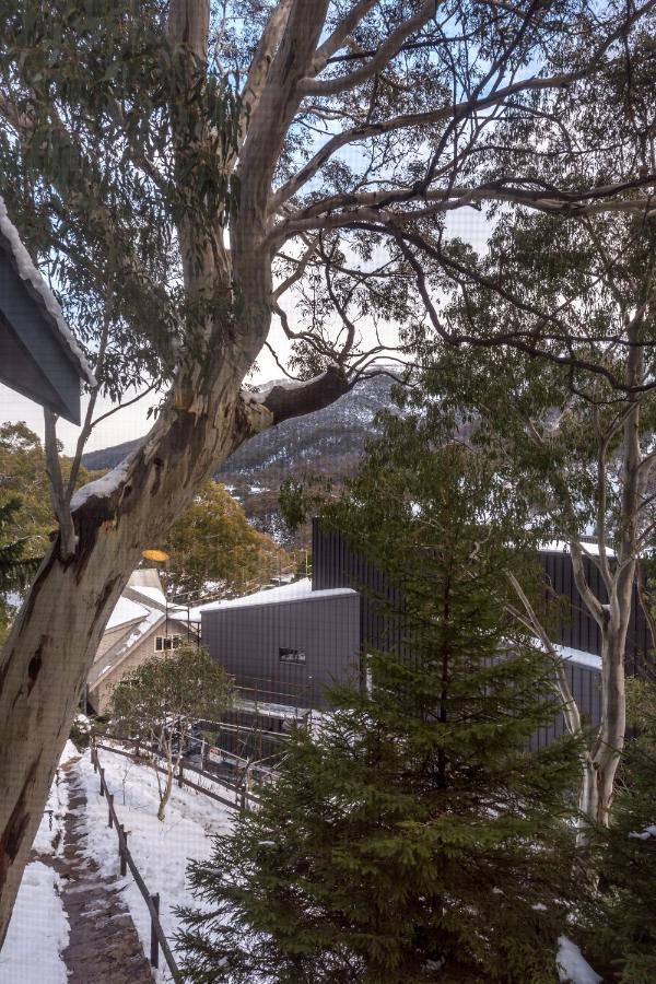Pure Chalet Thredbo Exteriér fotografie